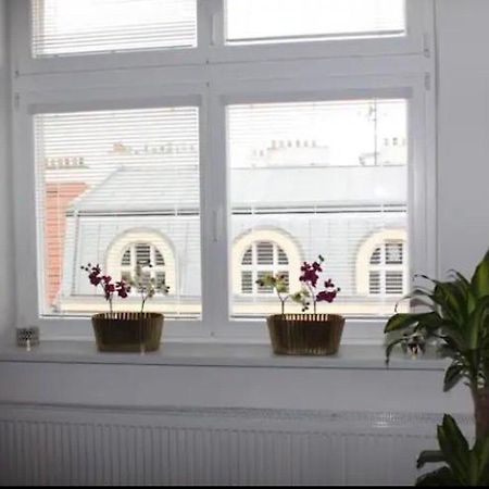 Lenka'S Cozy Red Studio + Lenka'S Cozy Gold Apartment Praga Zewnętrze zdjęcie