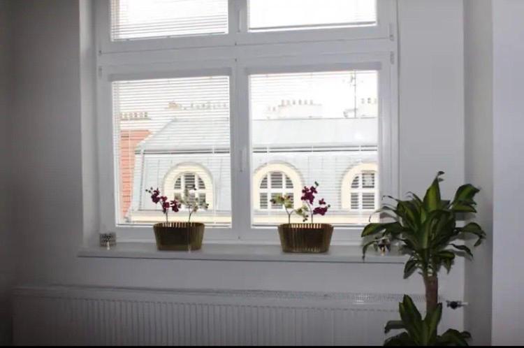 Lenka'S Cozy Red Studio + Lenka'S Cozy Gold Apartment Praga Zewnętrze zdjęcie